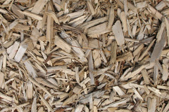 biomass boilers Baldingstone
